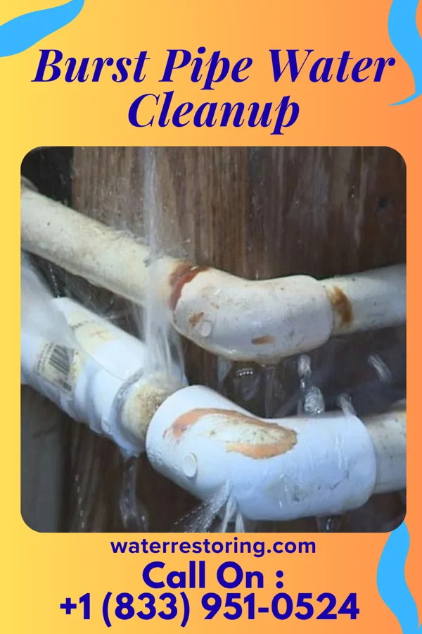 Burst Pipe Water Cleanup in Swansboro, NC