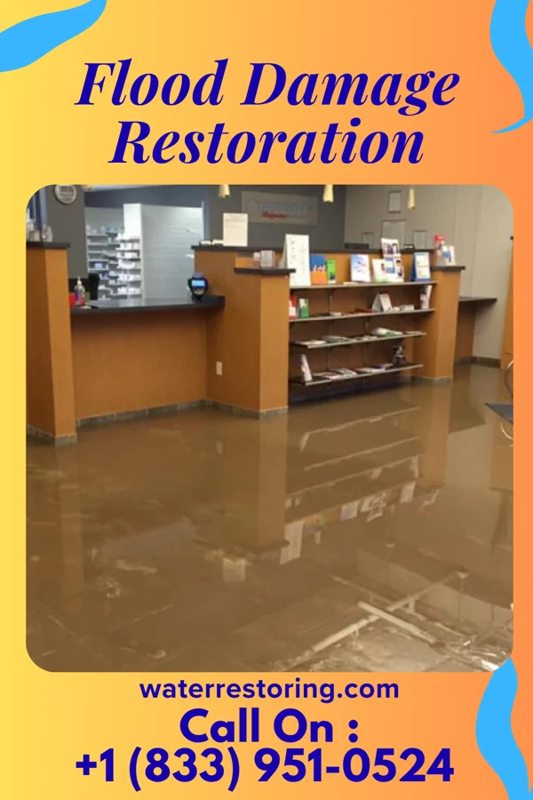 Flood Damage Restoration in Swansboro, NC