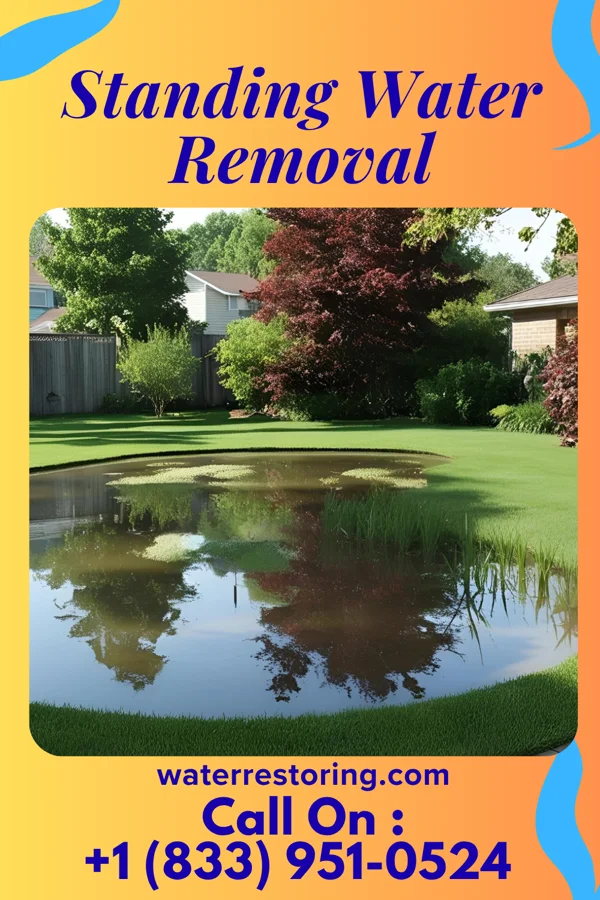 Standing Water Removal in Swansboro, NC